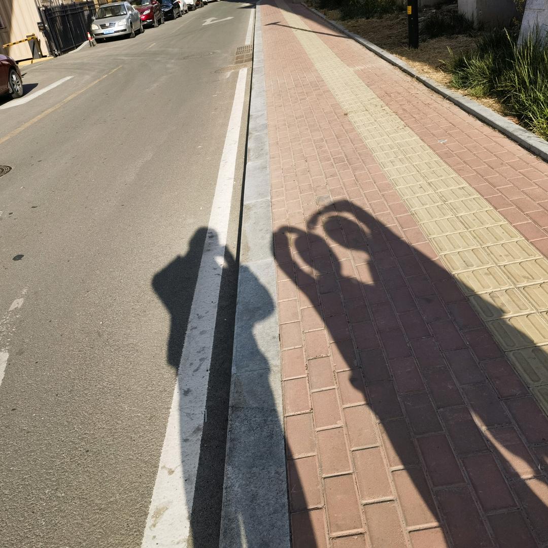 太阳底下的影子