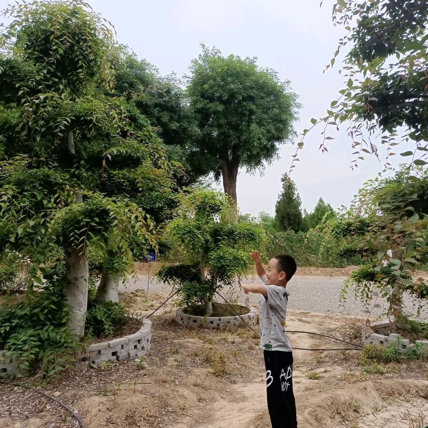 天天乐