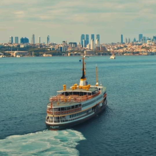 缘来是你8916912527146