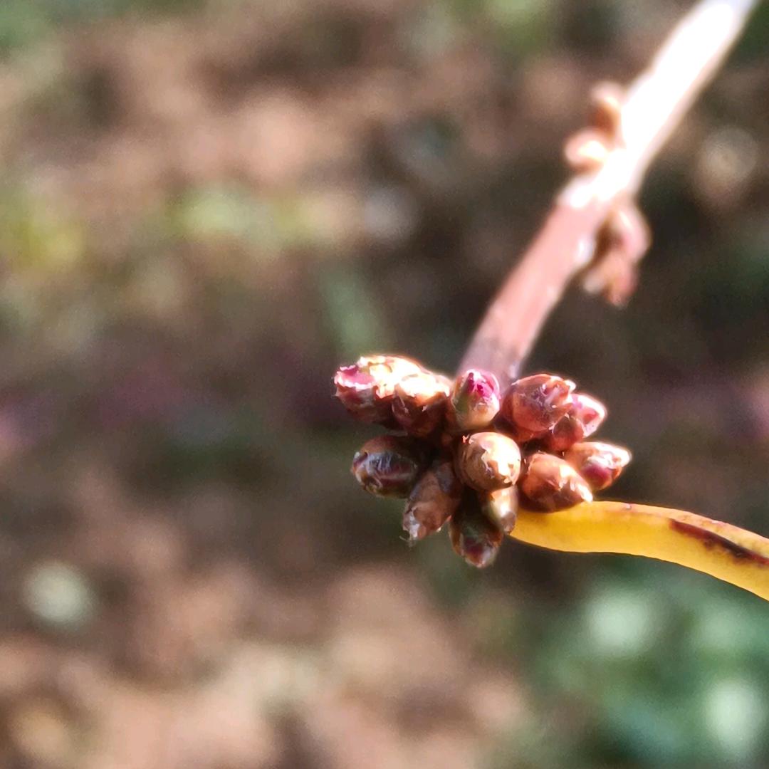 那年今天