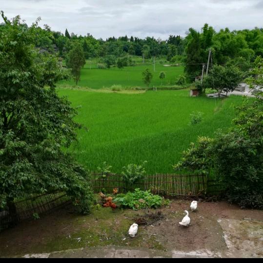 风雨与共