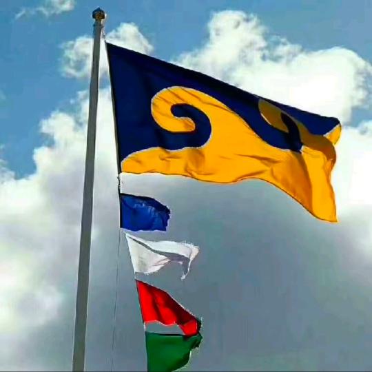 🌾和平汉子🏀