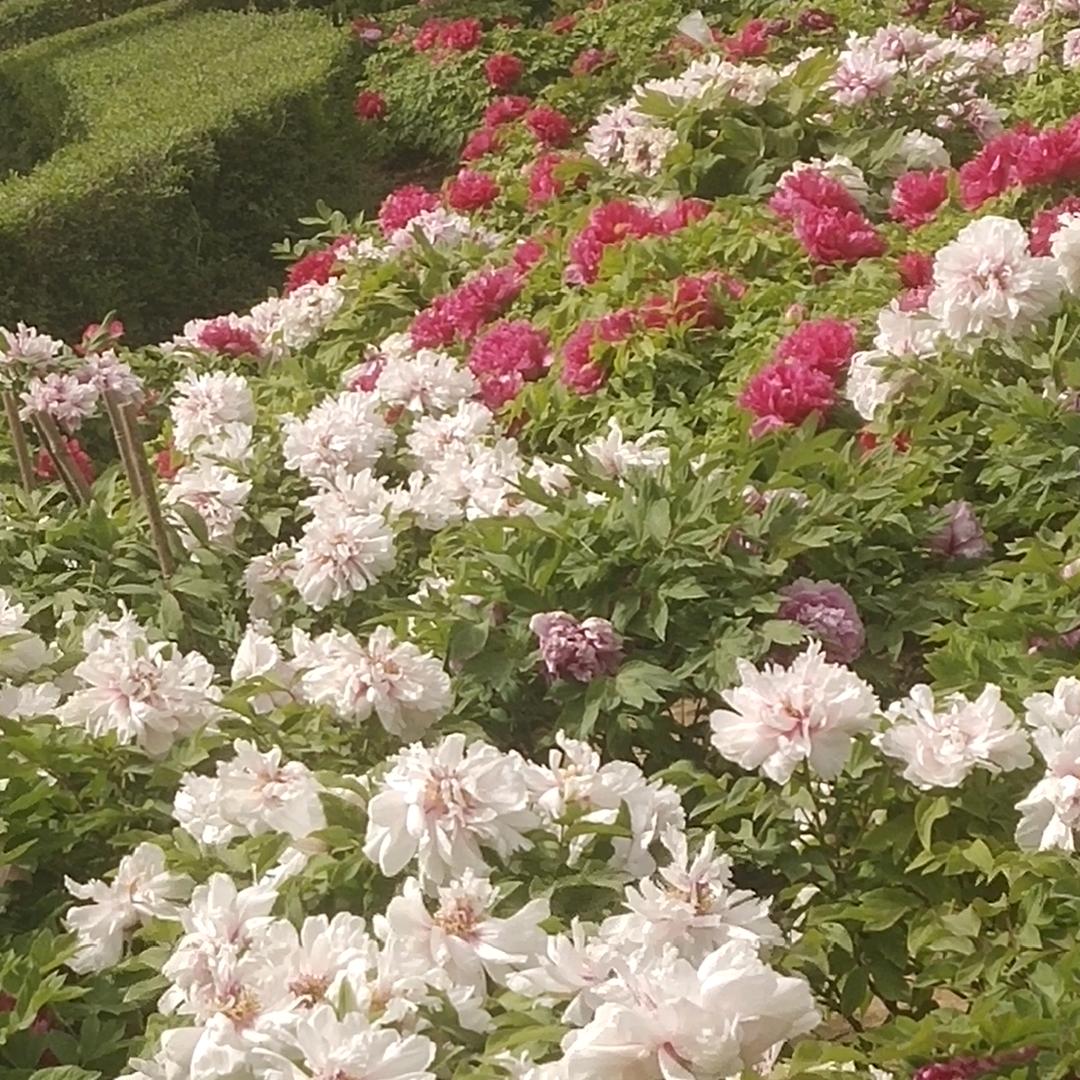 有你一生都幸福