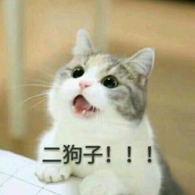 林宇1314