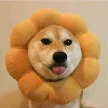橙子看动漫