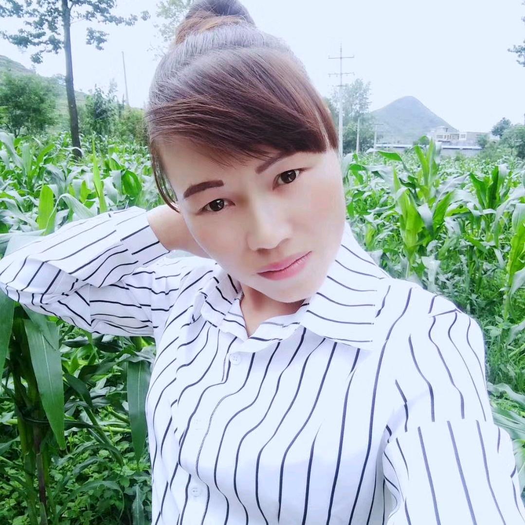 小陈琴
