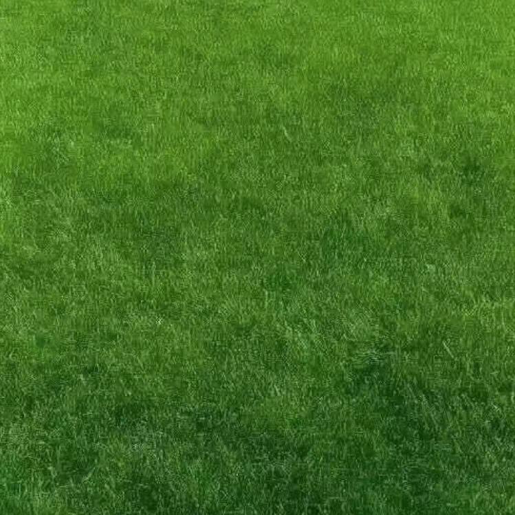 房磊
