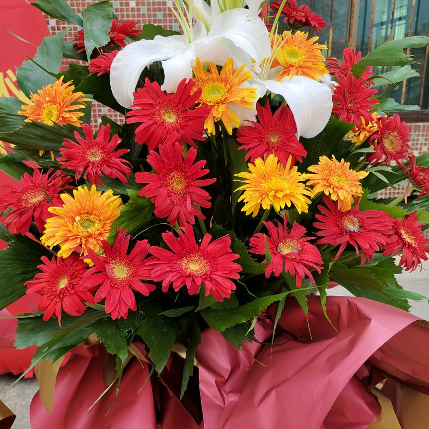 真的不（容易）