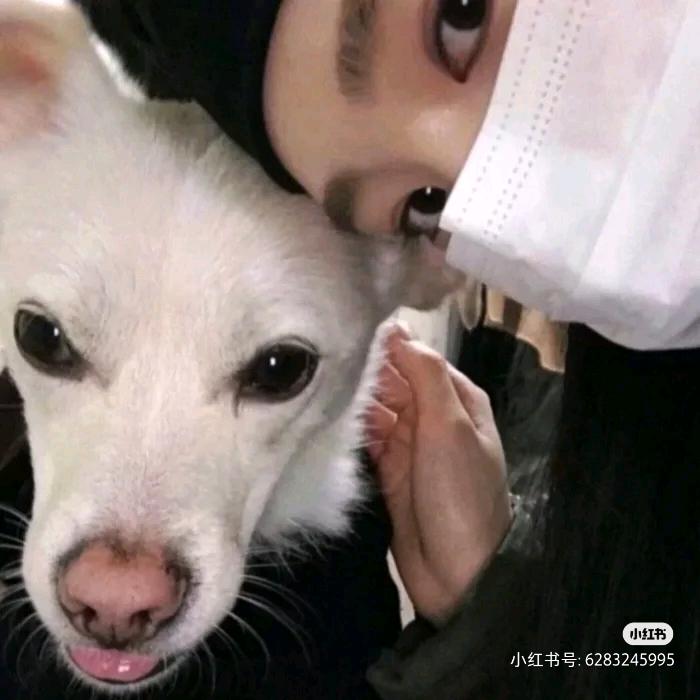 豆包菜包不做气包👧