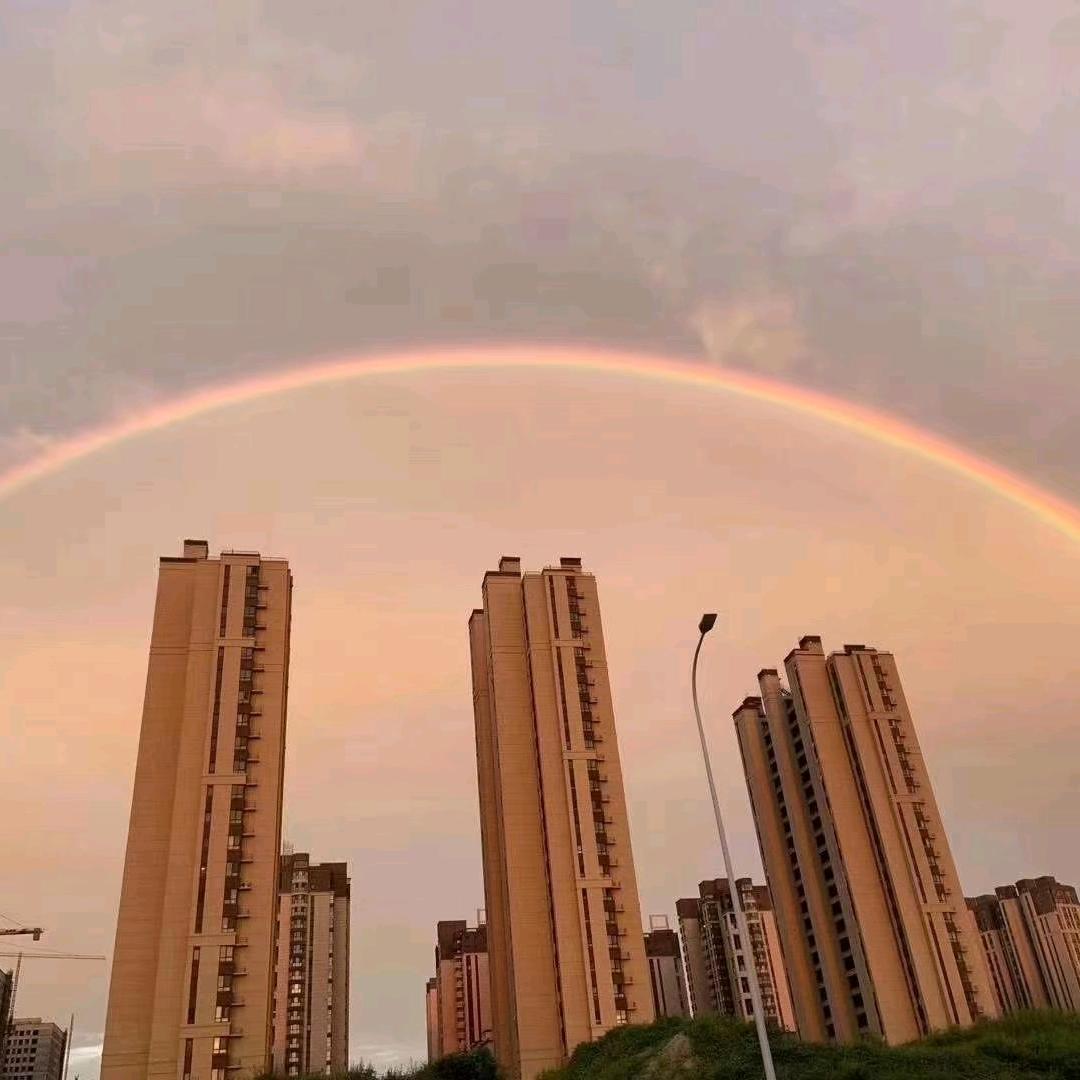 🌈傲雪冬梅🌈