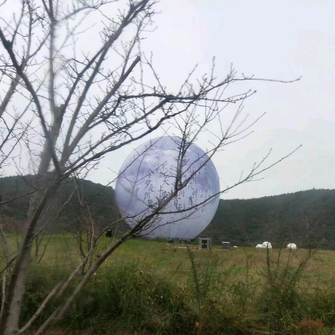生命之光