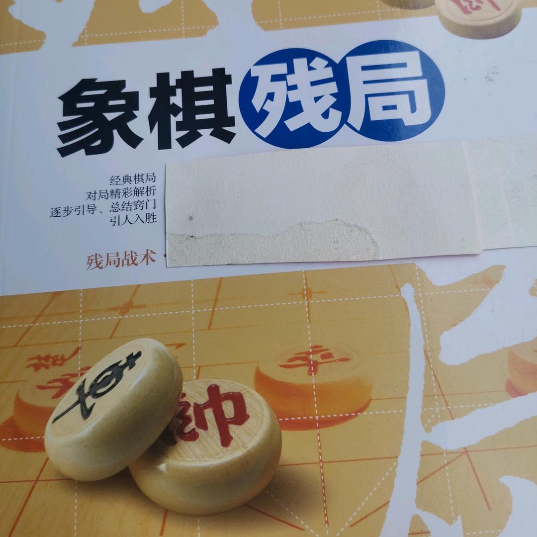象棋娱乐