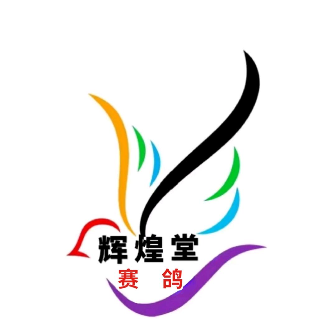 辉煌堂赛鸽