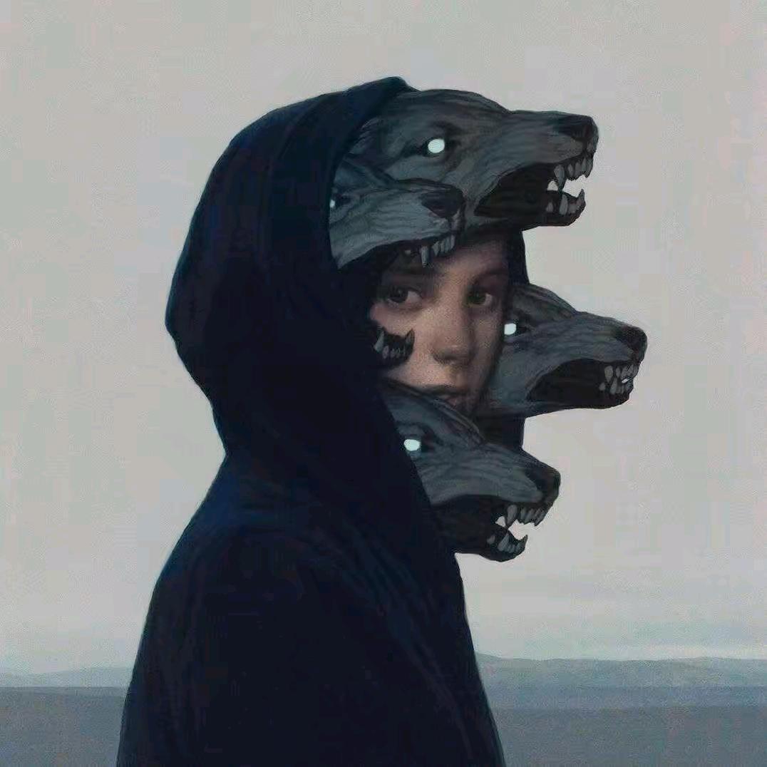sropy1o.
