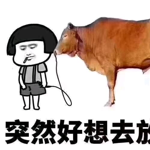国威数码