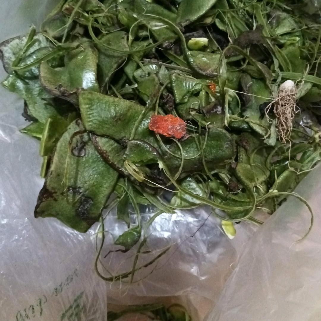 曾经沧海难为水，除却巫山不是云