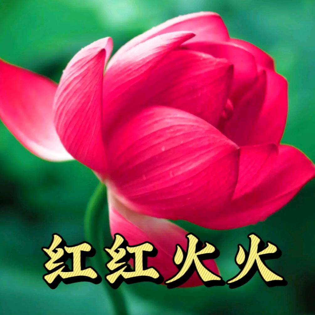 张仙玲