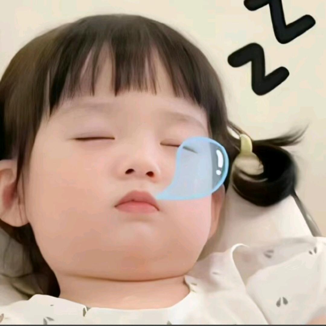 ✨小猫钓鱼✨