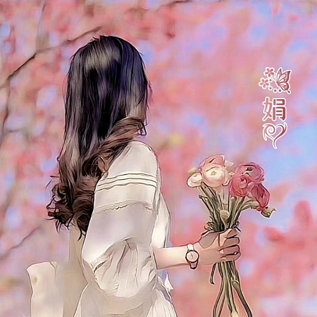 鲨鱼🦈的海底世界