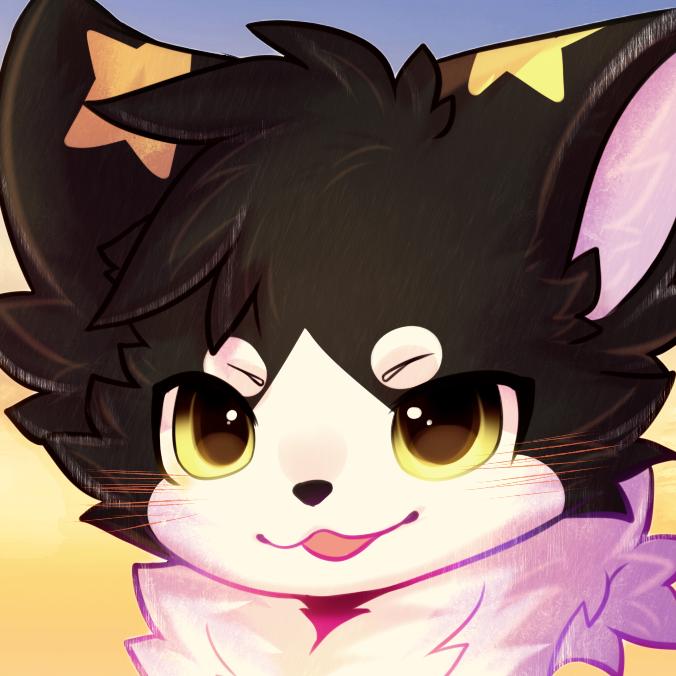 雨猫猫猫猫猫猫猫猫猫猫猫猫猫猫猫猫猫猫猫
