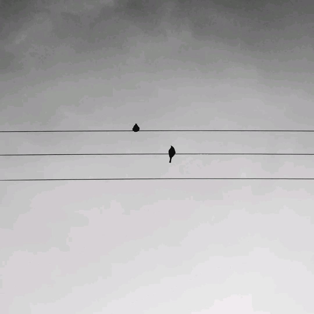隐上·不见山头像