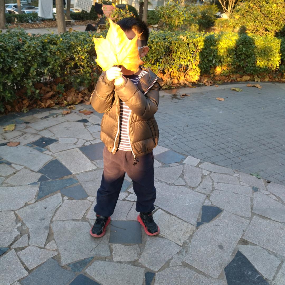 敏敏