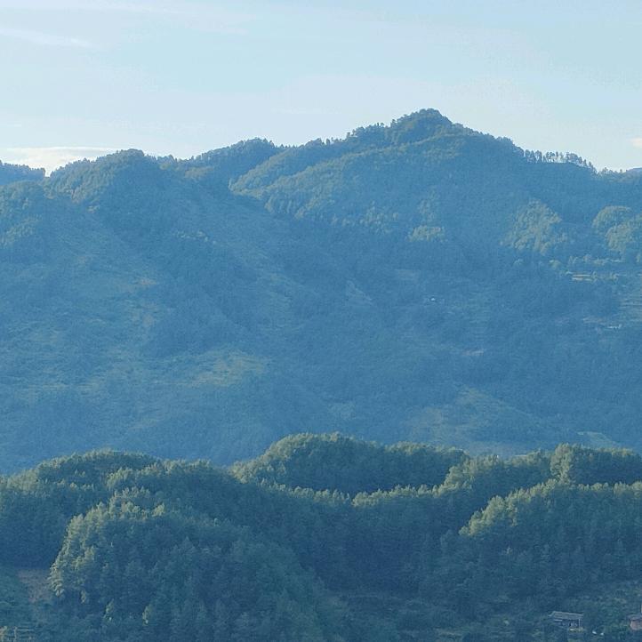 糖是甜的