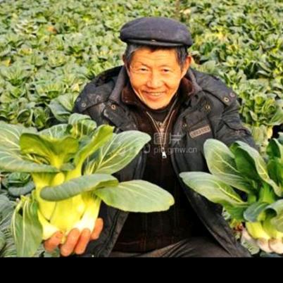 开心  果农