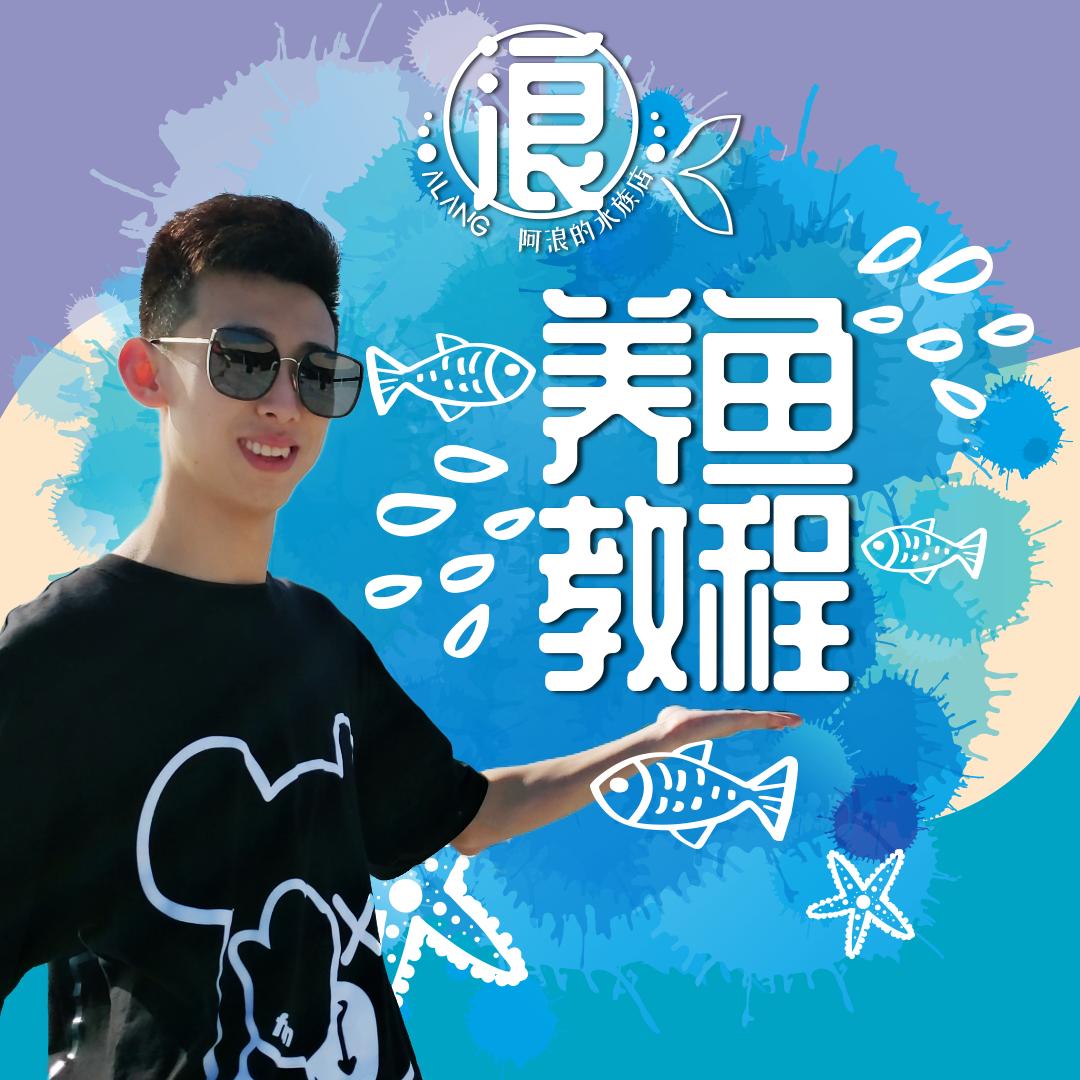 跟着阿浪云养鱼 零基础新手养鱼教程作者