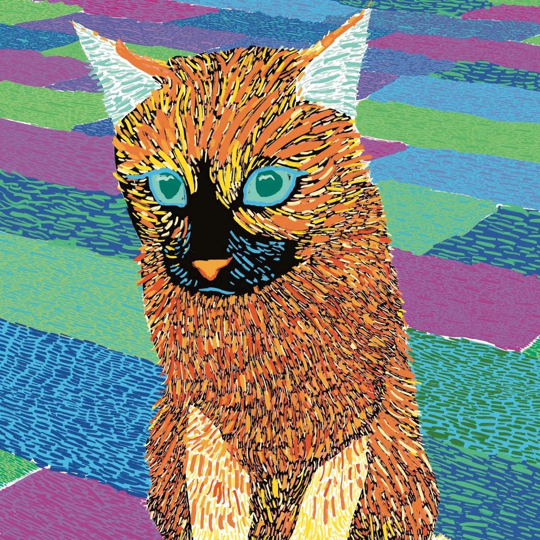 你来看我就很好了