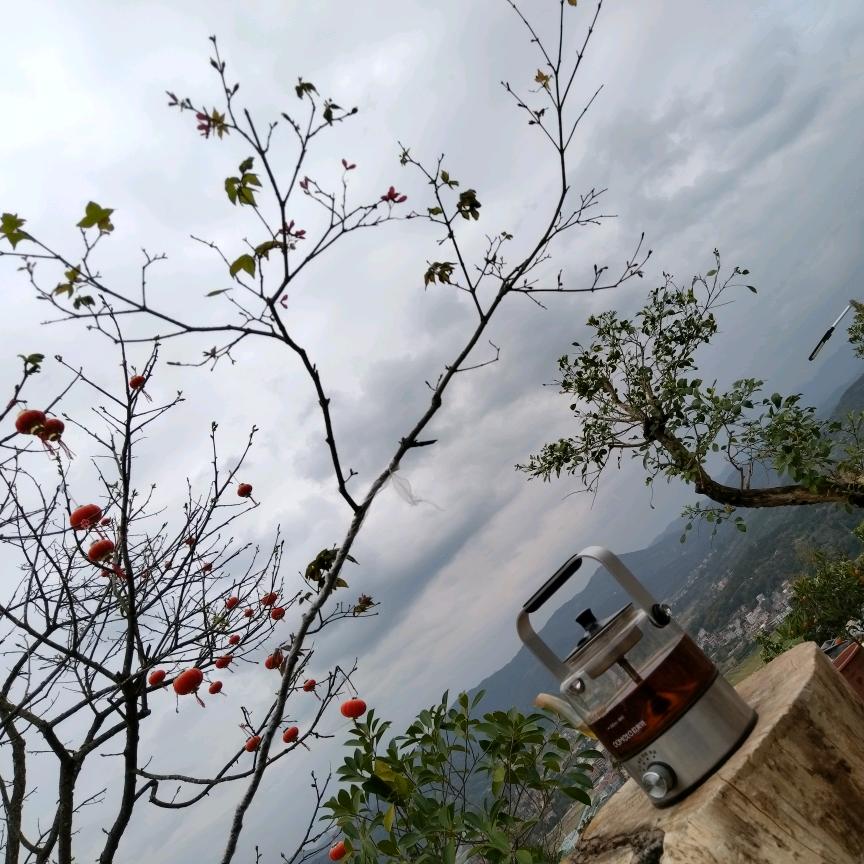 一点两点三四点