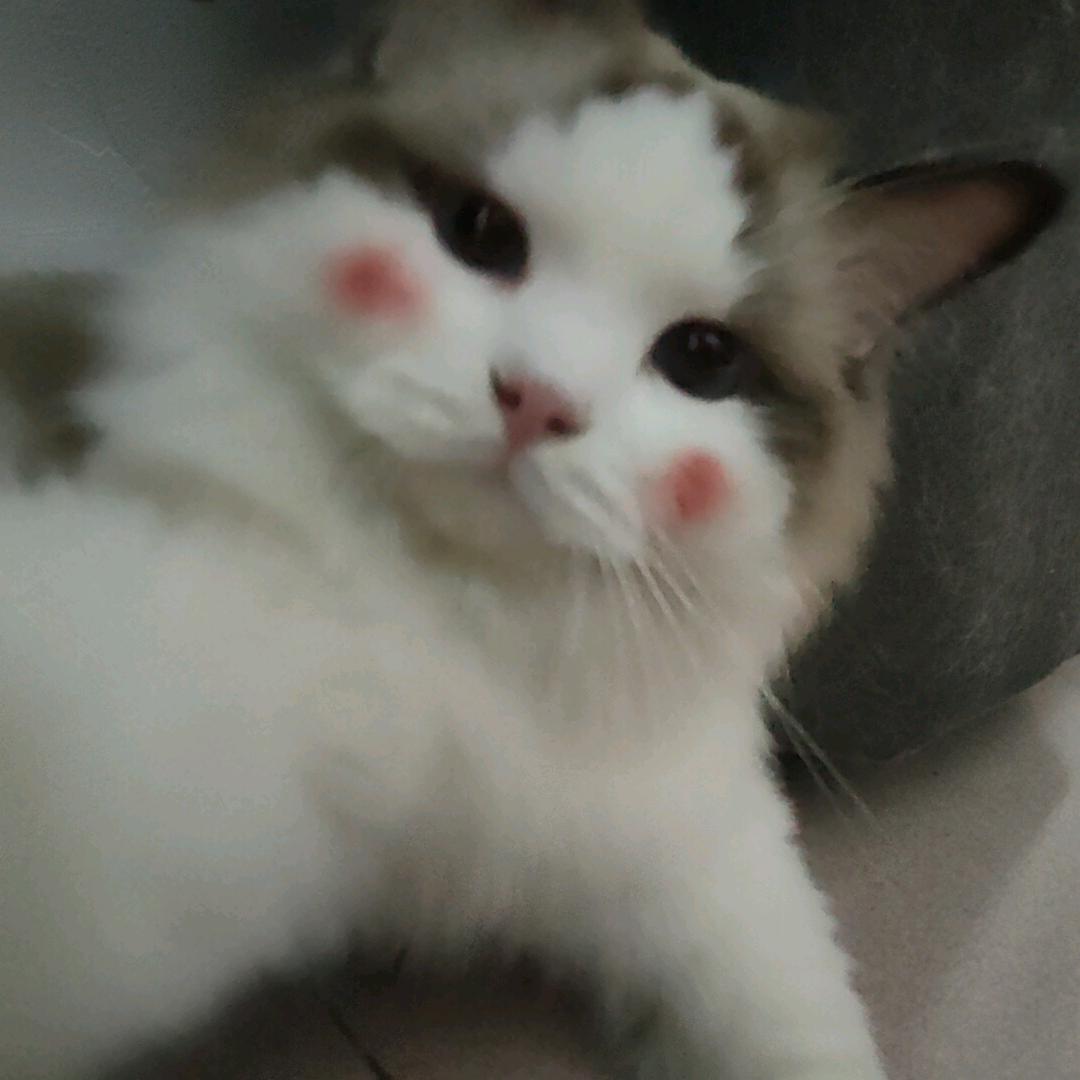 小卖铺