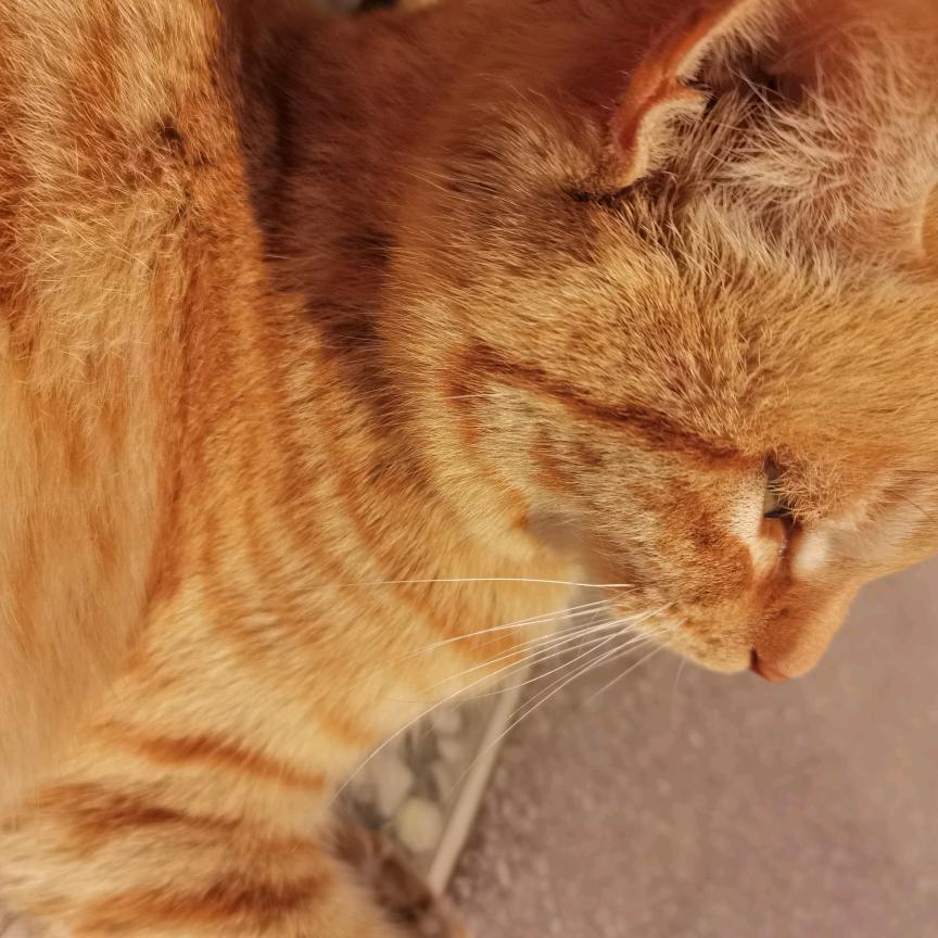 缘来一家人