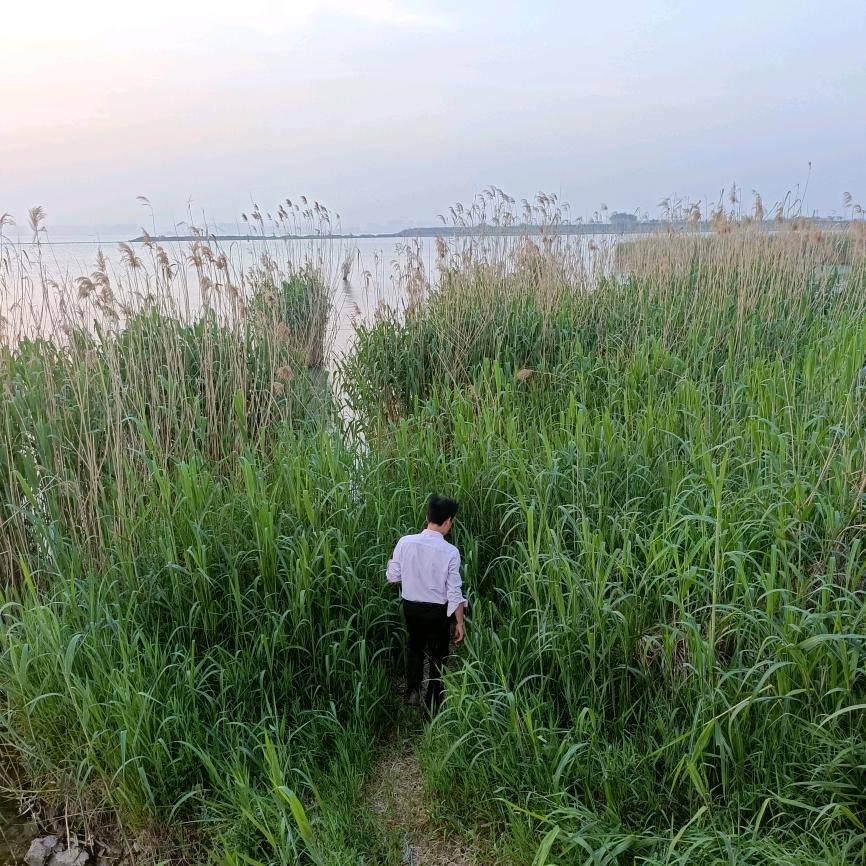 এ杯中烈酒໌ᮨ🚬敬余生🍶དྷ༗࿐