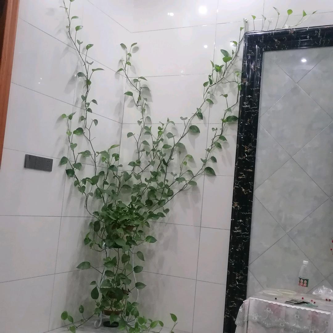 开心快乐！