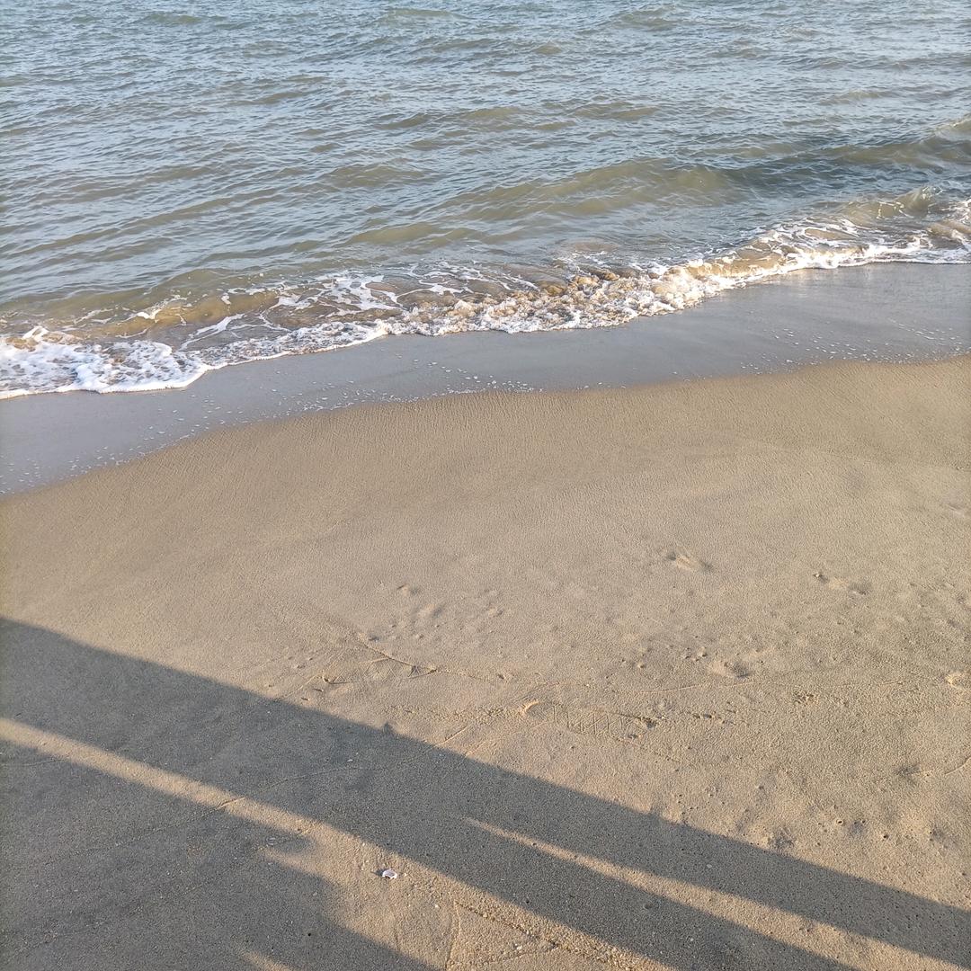 是的