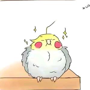 小鸟爱跳舞