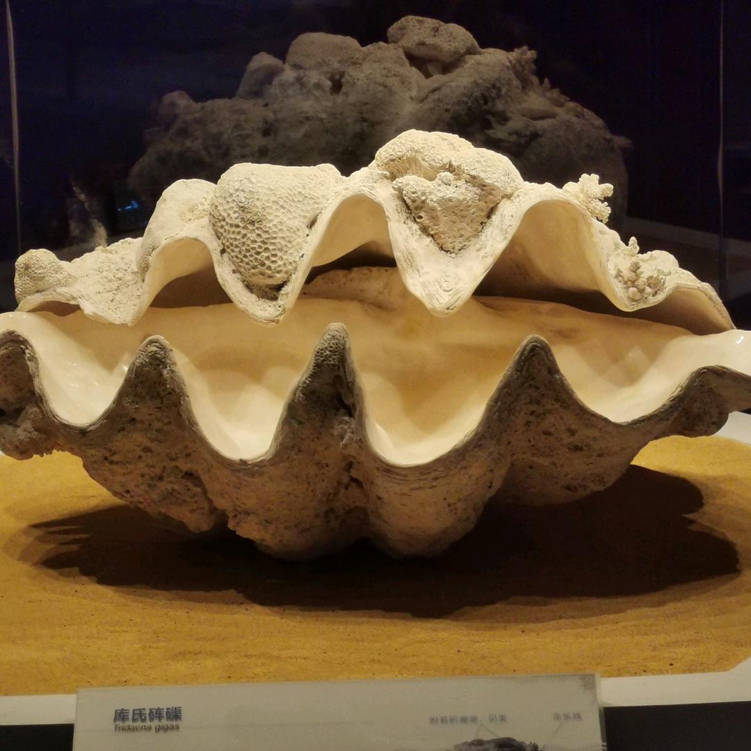 适老康复用品大全