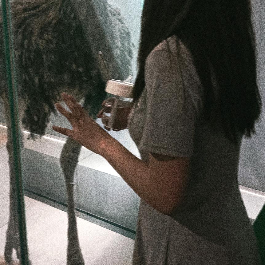 王豪.傑