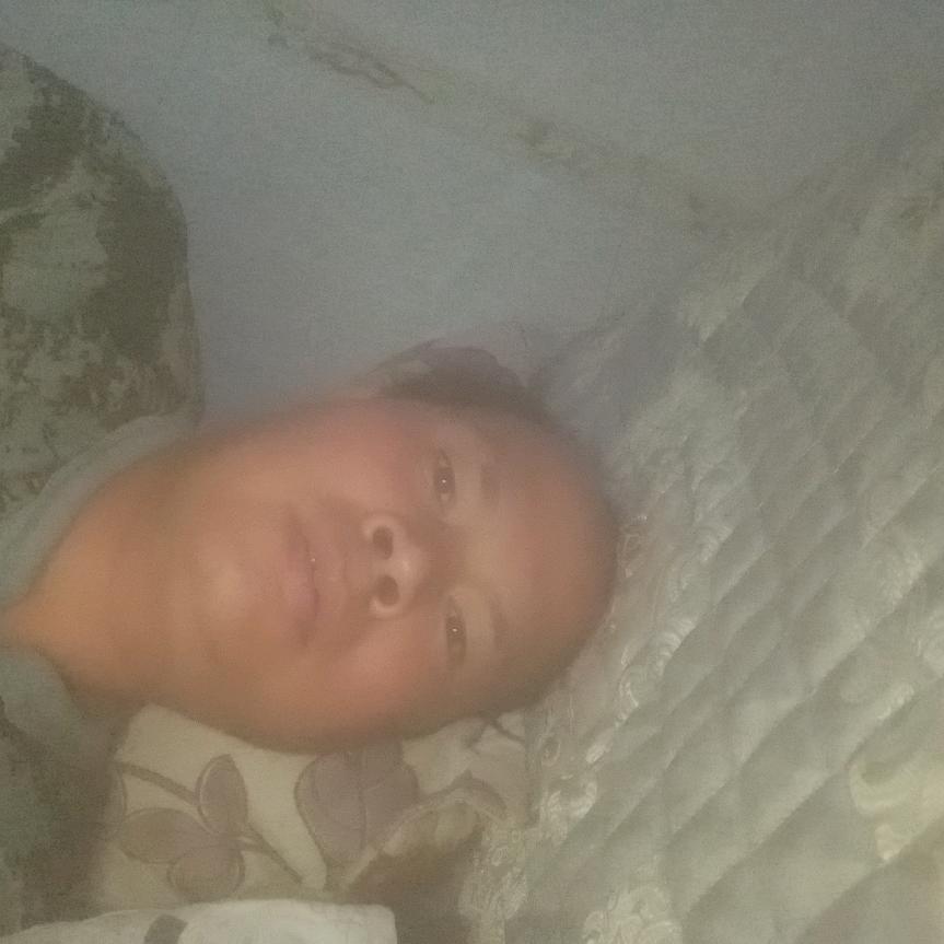 专业接受农村专业建房