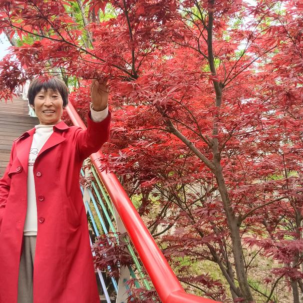 彩红糖
