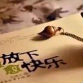 ⌚️时间是沉淀的良药