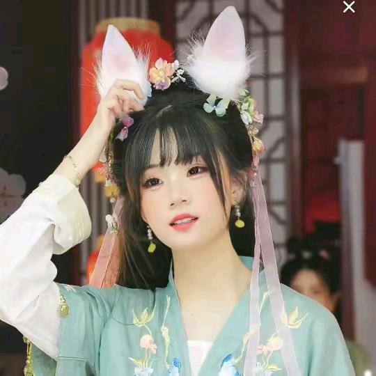 繁华·惊鸿醉无痕