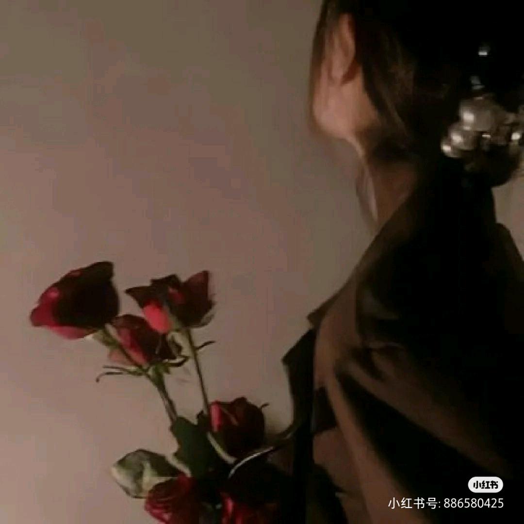 清欢渡