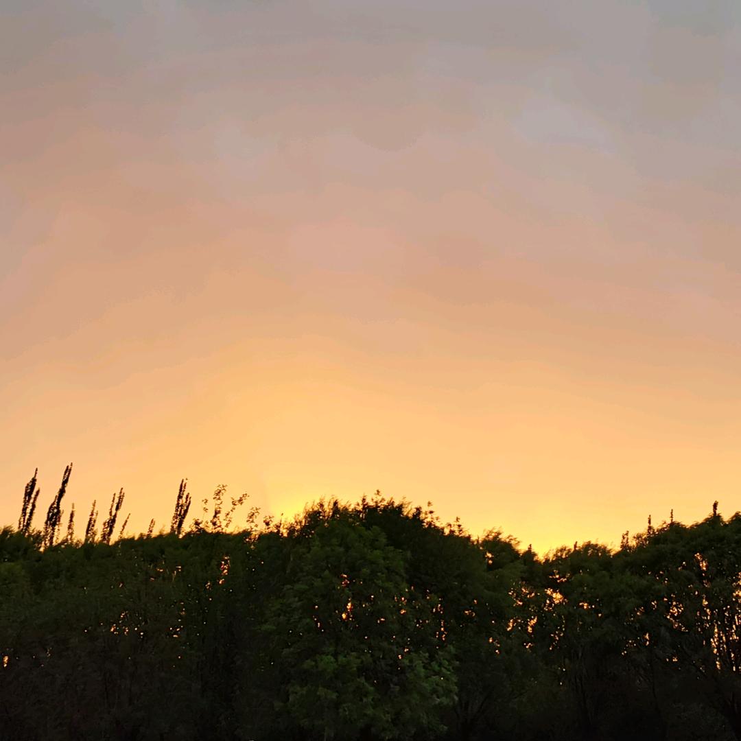 螃蟹小仙女🧚‍♀️