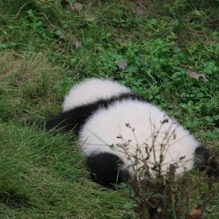 千寻_