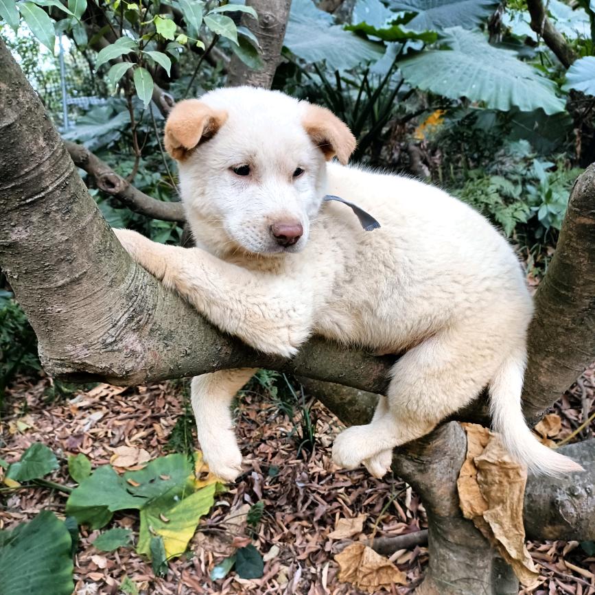 深圳户外挖牛大力蜂蜜钓鱼啊峰
