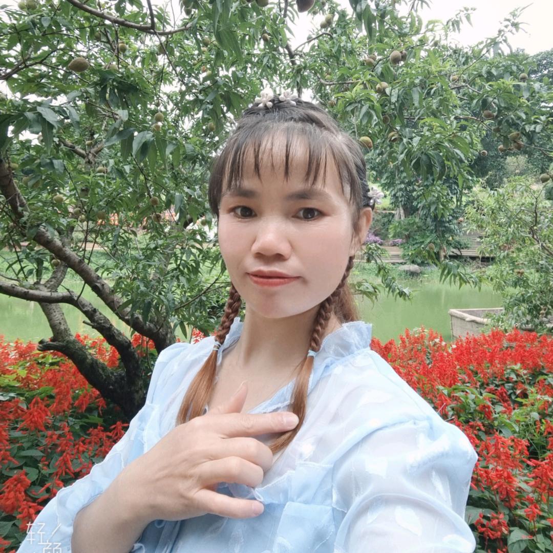 刘小美