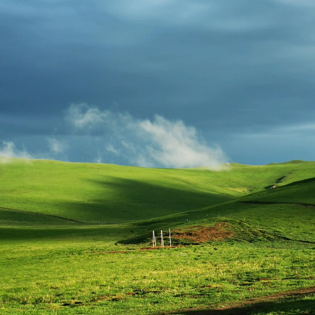保温杯里泡枸杞