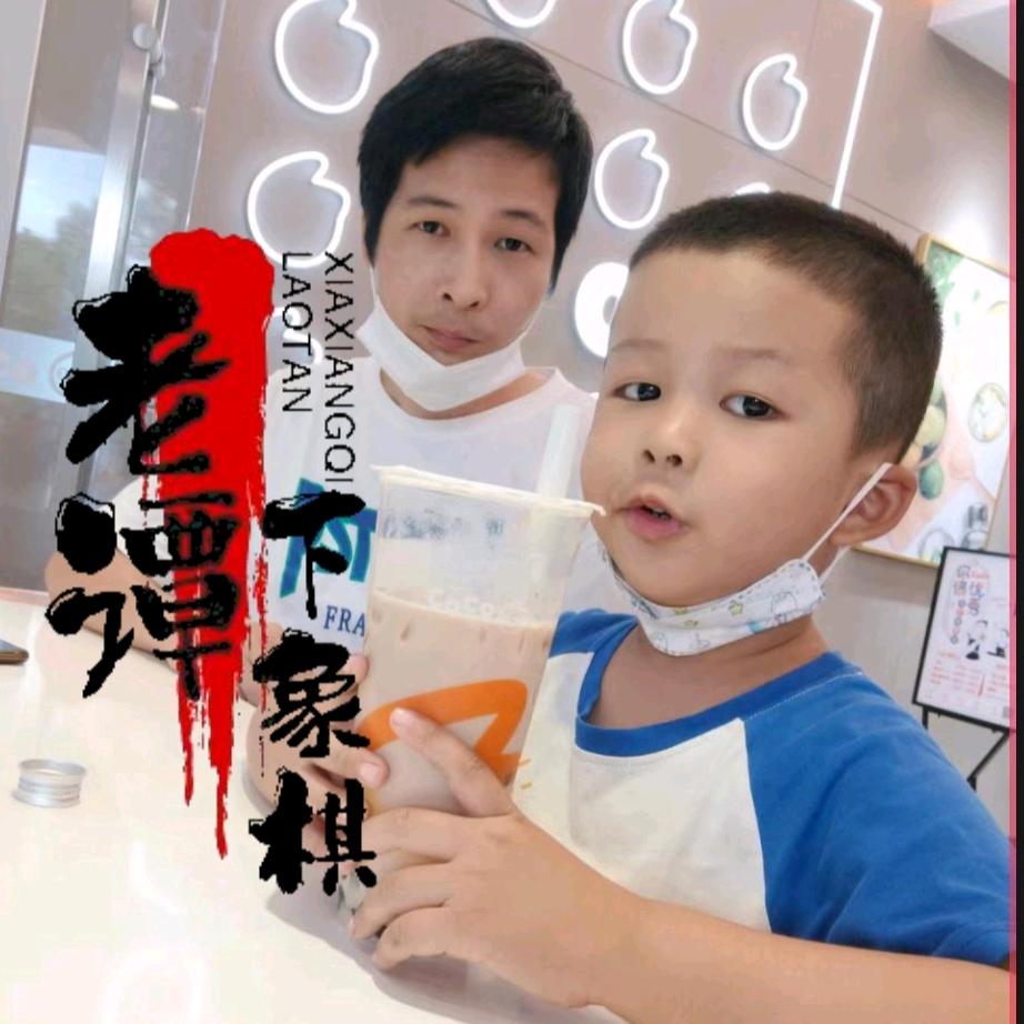 老谭下象棋